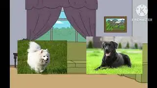 White Dog Gets Grounded For Nothing