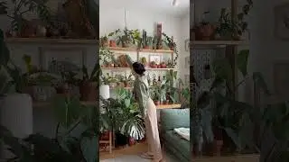 Cozy morning in urban jungle plant room🌱