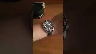 Seiko SKX007#shorts #seiko #watch