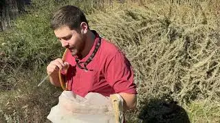 Sweep Net Training Video
