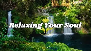 🌿 Deep Healing & Nervous System Recovery | Relaxing Your Soul 🎶