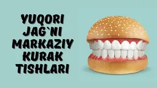 YUQORI JAG`NI MARKAZIY KESUVCHI TISHLARI