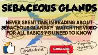 SEBACEOUS GLANDS - STRUCTURE AND FUNCTION