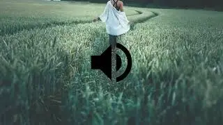 Footsteps on Grass Sound Effect HD