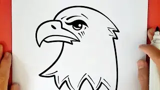 HOW TO DRAW A BALD EAGLE