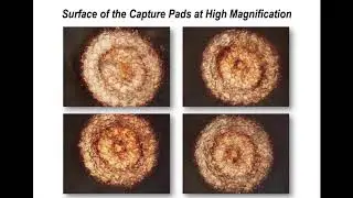 Printed Circuit Board Problems Causes and Cures &ndash; Online Webinar