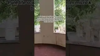 Just CUraj things 🫩🤌#centraluniversityofrajasthan #microbiology #microbiologist #cuetpg #viralvideo