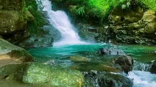 Instant Relaxation 💧 Crystal Clear Tropical River | Flowing Water ASMR for Sleep