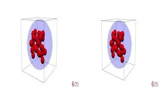 Spherical Particles Growth Model