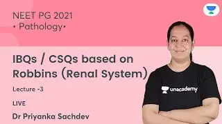 Pathology | IBQs/CSQs based on Robbins |Renal System |L3 | Let's crack NEET PG | Dr.Priyanka Sachdev