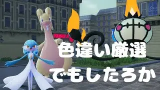 色違い厳選でもしたろか　５【ポケモンZ-A】