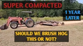 This one thing has changed everything! #farming #cattle #cows #mobgrazing