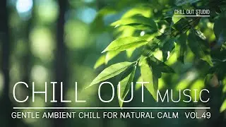 Gentle Ambient Chill for Natural Calm | Soft Forest Light for Relaxed Focus