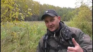 Копали копали и накопали!