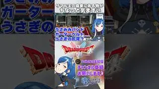 サマル王の寝室で発見したちょっと気まずい物【DQ2 /魂乃よるは切り抜き】