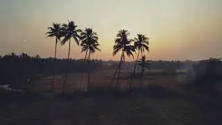 Kerala Travel Guide 2025 | Top Places, Best Time, Food & Budget Tips