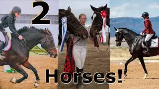 Last Eventing Show with 2 Horses! ║ Cav ║ Totti ║ Horse Show ║ Eventing ║ Horse Show ║