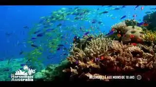 Les Marseillais Australia ep 22