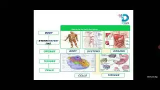 DYNACE GLOBAL ZAMBIA 🇿🇲 PRESENTATION. COMPANY PROFILE & PRODUCTS BENEFITS VIDEO 1 