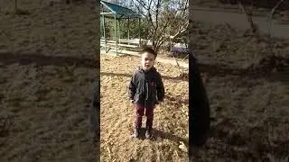 Садик