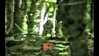 LIVE Bigfoot presentation! ~ Nebraska Bigfoot Conference 2024/ Blayne & Lisa Tyler