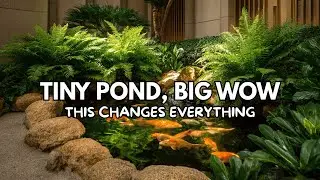 High End Small Fish Pond Designs That Elevate Your Home ✨