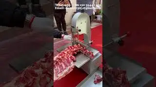 Special offer small bone saw machine suitable for spine, leg bones, bones and other bone processing