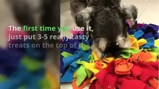 How to use a snuffle mat by Ruffle Snuffle