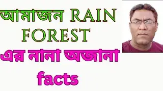 Facts about amazon jungle| amazon jungle | amazon rain forest