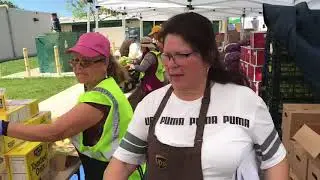 Feeding the Seven Trees Community