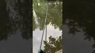 nash bushwhacker baiting pole