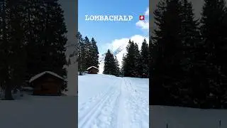 LOMBACHALP 0126 Part III #switzerland #mountains #hikingadventures #snow