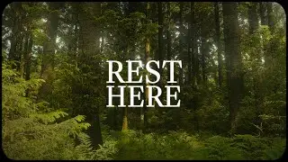 Rest Here | Nature Sounds | Forest On A Sunny Spring Day
