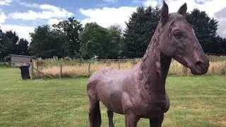 Horse Sculpture - life size in natural cast iron