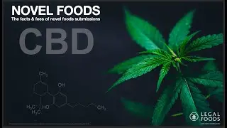 CBD Novel Foods 2020