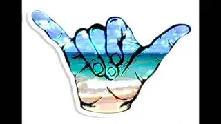 La vie est cool - LUT