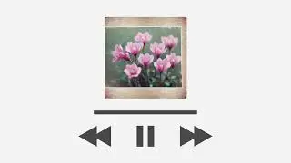 Cyclamen Dreams  |  A Serene Soundscape Inspired by Nature