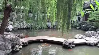 Shanghai 예원(Yu Yuan)   #상하이여행#예원#중국고전정원#상하이명소#YuYuanGarden