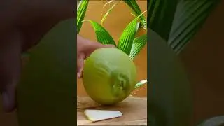 Satisfying coconut peeling technique