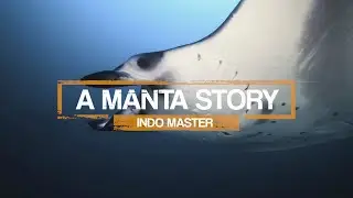 Indo Master - A Manta Story
