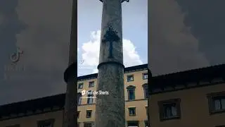La colonna di San Zanobi a Firenze  Curiosit&agrave; e Cosa rappresenta