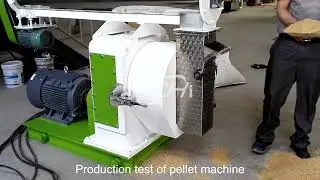 How to Make Grass Pellets for Cattle Feed | Forage Pellet Machine in Action