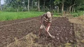 BRILLIANT FARMING IDEA! SET UP YOUR FARM PLOT FAST WITH SIMPLE TOOLS  -Agriculture Farming