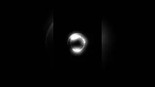Puesto - Mancuso | Visual Concept