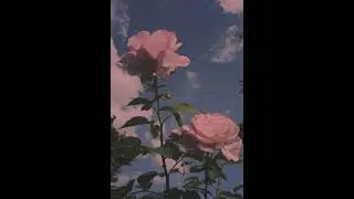 [FREE] Brakence X 50landing Type Beat - 