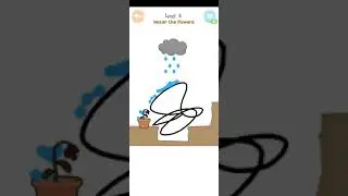 Watering Puzzle Level 4 Walkthrough