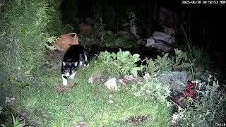 Paula sucht und findet das Trockenfutter am Teich