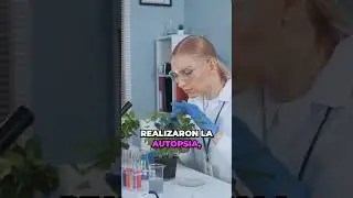 El mamut de Berezovka  congelado con hierba en la boca y la misteriosa congelaci&oacute;n casi instant&aacute;nea