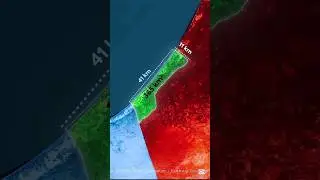 Trump statement on palestine .