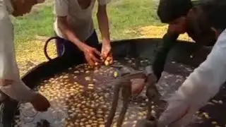 Hardworking Labor Making Dry Dates | Chuhara | Chuara | Chuwara